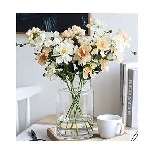 yzKX̉ԕr   Ԋ t[x[X x[X {g AW CeA ͔|    Vv CeA (N-i:23cmj)