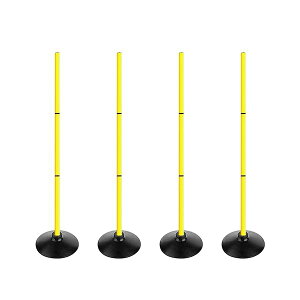 yz1.2m g[jO|[ AWeB|[ TbJ[ oXPg [jOpi Kpi OEp (4{, CG[)