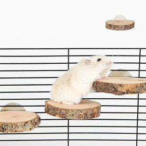 【送料無料】木製 コーナーステージ ステップ 丸い形 踏み台 ハムスター 小動物用 ペットおもちゃ 遊び場 飼育ケージ内装 天然木素材 多機能 オウム 止まり木 鳥スタンド 金具付き 取り付け