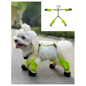 yzpbOJo[ pTXy_[u[c Ԕf pu[c pV[Y  CV[Y ppc ~ h ⏕Xgbvt veN^[ ی 