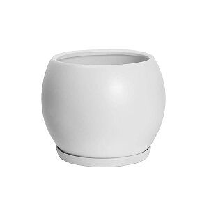 yzAؔ 픫    󂯎Mt  v^[ A ϗtA 5 13cm ꌊ k   CeA zCg