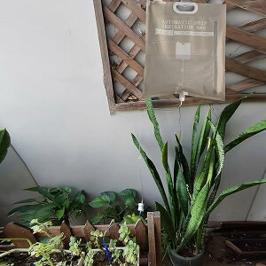 yz蓖  A  Lbv ʒ߉\ 1̐o _H 6.5L e EH[^[ obO stbNt 璆̐ o s | A