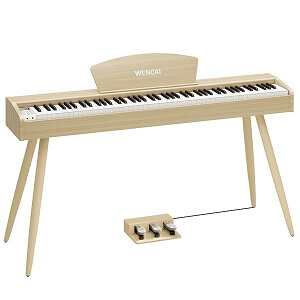 yzdqsAm 88 n}[ANbV ؐfUC S q KsAm MIDI[qΉ 3{y_ X^h A_v^[t {