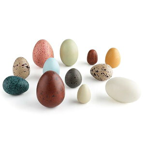 yzؐ   - ܂܂ q mߋ `F  V~[V ܂܂ƃZbg  ؂̂ C[X^[GbO j̎q ̎q a