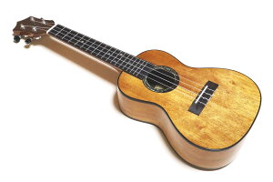 KUMU ukulele Concert HighGloss@CG-55A@N@RT[gEN@{fB
