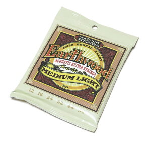 ERNIE BALL@P02003 A[j[{[@AR[XeBbNM^[@A[XEbh80/20@Ԃ̃CgEQ[W