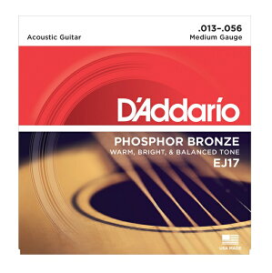 D'Addario EJ17 �_�_���I�@�A�R�[�X�e�B�b�N�M�^�[���@�~�f�B�A���Q�[�W