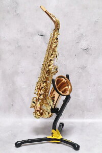 YANAGISAWA@A-WO2@Alto Saxophone @iMT@AgTbNX@uY uX@Cgdl