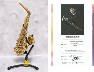 yIiz YAMAHA@YAS-875EX@}n@AgTbNX@k  I胂fI