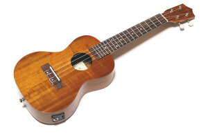 ARIA ACU-1KE@AA@RT[g@GLEN@sbNAbv@GEN