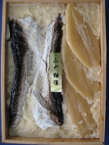 ӂЂlyyΉz܂ ̍  т̂ a v[g Mtg