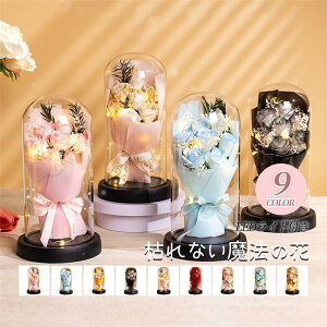 �y�S�i2�_��5%OFF�z�v���U�[�u�h�t�����[ ���� �o�� 7�� �ԑ� �͂�Ȃ��� LED���C�g THKJ �o�����^�C�� �z���C�g�f�[ ��̓� ���w�� �������� �L�O�� �M�t�g
