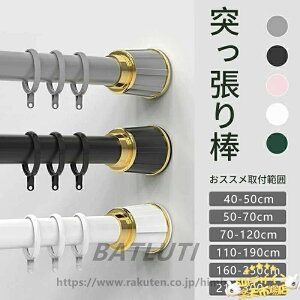�y�S�i5%�|�C���g�z�J�[�e�������O�t���˂�����_ ���� �S5�F 6�T�C�Y �L�k�_ 40-50cm THKJ 210-300cm ���ς�_ �������s�v �n���K�[���b�N ������ �J�[�e��