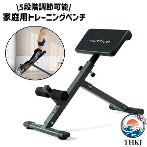 バックエクステンション トレーニング ベンチ」の人気商品一覧・価格 