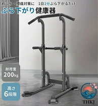 楽天市場】トータルフィットネス 懸垂マシンiii stm056の通販