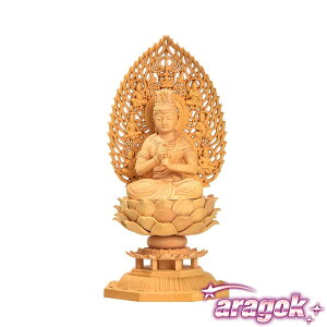 y{ɂ5%OFFz@ ^@  d ؒ ѐA̖ Vw @ؑ N?\N {i17cm×8.5cm×s8.5cmj