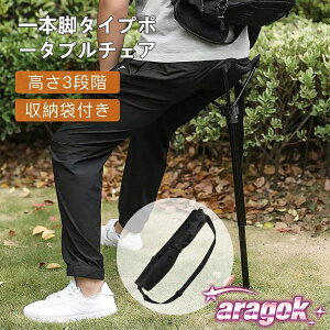 y{ɂ5%OFFz|[`FA AEghA`FA 肽݂ {֎q RpNg`FA 1|[ `FA y X^fBO`FA ܂肽 CX AEghA