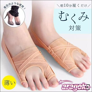 yTɂ5%OFFzO T|[^[  e[sOT|[^[ EZbg  p e[sO ew w  A[` p[bV R hL VN ʋC