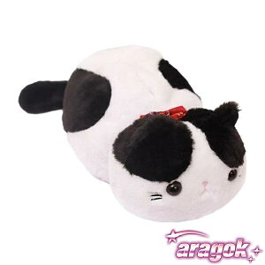 y{ɂ5%OFFzʂݔLԂ̃eBbVz_[eBbV{bNXP[XivL{bNXʂݓ̂eBbVJo[[{bNXԂ̃It