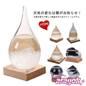 y{ɂ5%OFFzXg[NEh CeAG  VC\ J\OX  Ɏq KX u IuWF  t