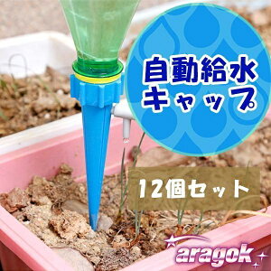 y{ɂ5%OFFzLbv 12Zbg 傤 ybg{g  蓖  U K[fjO | Ԓd A  ~ 