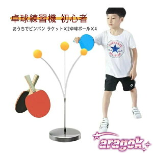 y{ɂ5%OFFzl 싅 K p ObY g[jO    K 싅K@ GNTTCY ЂƂ 1l ӂ l 2l l q Ƒ e