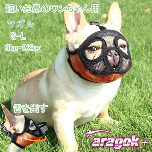 y{ɂ5%OFFzybgpi p  Ck Z Z@ }Y  ʋC EH~ TCY߉\ ݃OZh~ ʖi ݂ LYȂߖh~