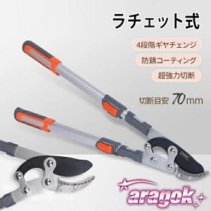 y{ɂ5%OFFz} ΂ `Fbg 70mm ֐n }͂ } }؂oT~ }؂͂