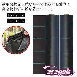 y{ɂ5%OFFzԏ |p hV[g  Gh~V[g  _pV[g V[g lH Ő  hV[g 2m×100m 悯 Gh~ G