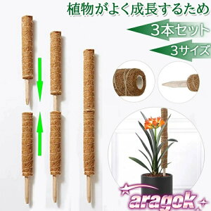 yz3{Zbg RRXeBbN Xe x RRibc  |x |gX Ax K[f  Ԃ A  ؐ RRibcx x K[fjOpx ϗt