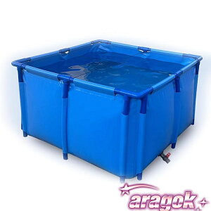 y{ɂ5%OFFz^ ̗{rPVC܂肽ݔzŃv[A{[uOEhANAE Y{Br q̐j Ԃ̐AbvO[h 