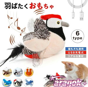 y{ɂ5%OFFzL    XgXU ^b`N  Lp lR A V ^s  L炵 dH΂ XY Ht  V~