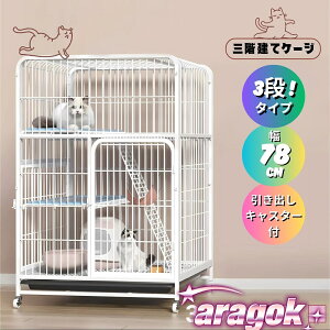 yTɂ5%OFFzL P[W LbgP[W 3i L݌v Rgݍ킹 g[t LhAt nbNt ^ LQ[W   LbgnEX lR nEX i 