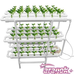 y{ɂ5%OFFzk͔|Lbg k͔| A ؗp A琬 ƒ؉  x_ k͔|Zbg (108)