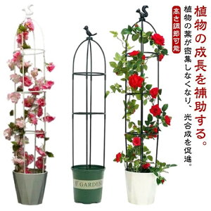 y{ɂ5%OFFzIxXN x gX ߉\ ȒP  ȈՑg 鐫A  op K[f x Ԏx  |pi o KN