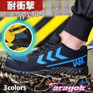 y{ɂ5%OFFzSC [Nu[c ƌC Ȃ Y fB[X  ZteB[V[Y SXj[J[ c ܐK[h  y ʋC h