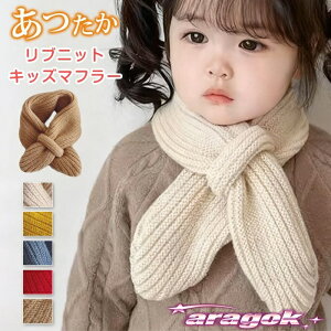 y{ɂ5%OFFzLbY}t[  lbNEH[}[ ujbg}t[   LbY WjA ̎q j̎q ct w ݊ }t[ Xk[h jbg l