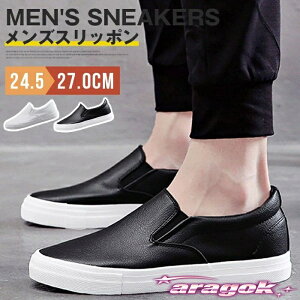 y{ɂ5%OFFzXb| Y [Jbg Xj[J[ l  C V[Y  JWA fbLV[Y RtH[gV[Y ʋ amC