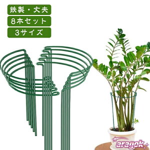 y{ɂ5%OFFz|px K[fjO y8{Zbgz A  x ϏܐAp WCgsv |pi ϗtA |x ƒ؉