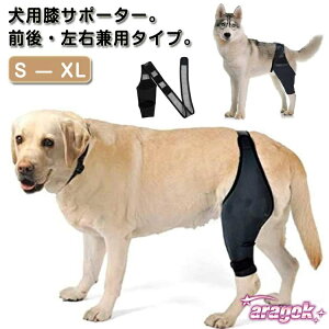  T|[^[ p ֐߃veN^[ O㍶Ep ֐ߕی Œ G x EP ی veN^[  nr  ybgpi s⏕ PApi 둫 O ܎ V 