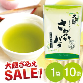 【大蔵ざらえセール対象：まとめ買い最大12％OFF】 水出し緑茶 冷茶さわやかパック5g×30ヶ入 抹茶 玄米茶　 御茶 お茶 緑茶 深蒸し茶 ティーパック プレゼント 日本茶 煎茶 ティーバッグ スッキリ 緑茶 ギフト 静岡茶 お茶 日本茶 荒畑園