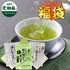 2026 福袋 お茶 緑茶 静岡茶 詰め合せ 3種の大入りティーパックセット 合計300個入 (がぶ飲み深むしティーパック1袋/がぶ飲みほうじ茶ティーパック1袋/特選がぶ飲み深むしティーパックのセット)送料無料 茶葉 新春 お徳用 お茶葉 国産