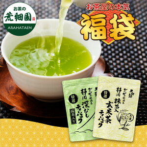  2025  Β É lߍ IeB[pbNZbg v170 (IԈݐ[ނeB[pbN1 / IԈݖ茺ĒeB[pbN1܂̃Zbg) Vt 