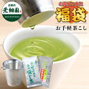 福袋 お手軽茶こし 静岡茶 飲み比べセット がぶ飲み静岡深むし茶100g 特選荒茶旬100g 緑茶 ステンレス製 茶漉し スト…