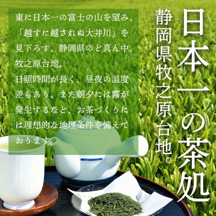 静岡県産 深蒸し茶100g6袋 お茶 健康茶 日本茶 緑茶 静岡茶 72％以上節約 健康茶