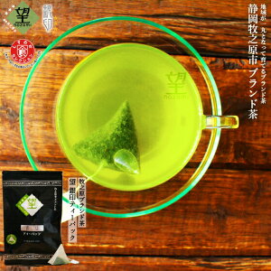 お茶 ティーパック 緑茶 静岡 深蒸し茶 ティーバッグ 静岡茶 牧之原ブランド茶 望 銀印ティーパック 2g×30ヶ 【