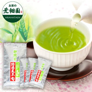 2025年度産 深蒸し茶 緑茶 お茶 茶葉 特選荒茶・旬 100g×4袋セット 新聞掲載 日本茶 静岡茶 国産 牧之原産 プレゼント ギフト【送料無料】