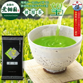 お茶 緑茶 日本茶 深蒸し茶 深むし茶【メール便 送料無料】静岡県牧之原ブランド茶 望銀印100g 煎茶 牧之原 静岡茶 荒畑園 | 茶葉 ギフト プレゼント 父 茶 荒茶 国産 お茶葉 静岡 お土産 水出し 冷茶 ブランド茶 水出し緑茶 水だし 深蒸し 深むし 水出し茶