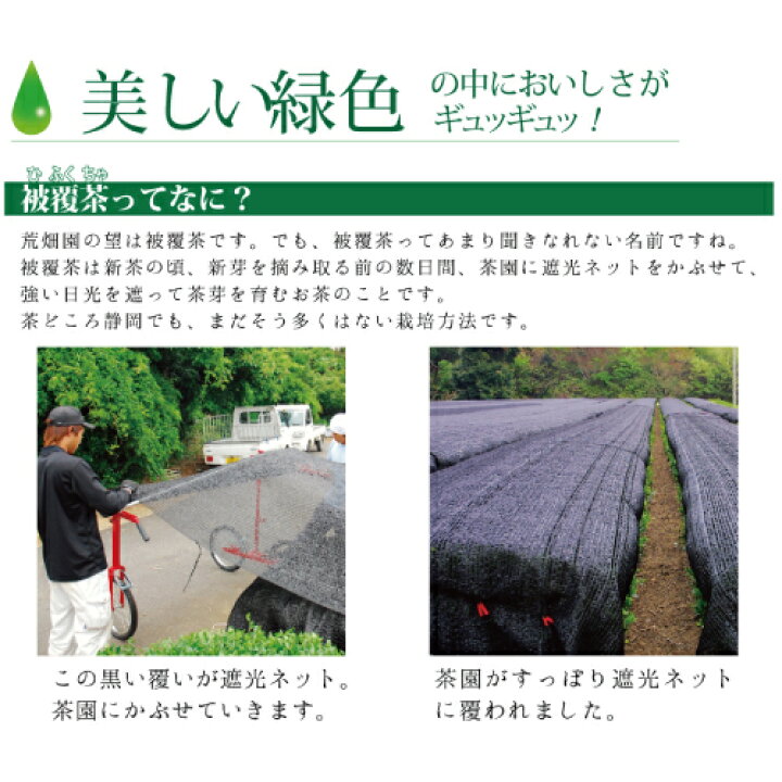 楽天市場】お茶 緑茶 日本茶 深蒸し茶 深むし茶 静岡茶 茶葉 静岡県牧之原ブランド茶 望 銀印400g 100g×4袋 送料無料【メール便配送】お茶葉 煎茶 茶 健康茶 国産 ギフト プレゼント 静岡 お土産 静岡土産 水出し茶 高級 牧之原6102 : 【 お茶の荒畑園 楽天市場店 】 楽天市場】お茶 緑茶 日本茶 深蒸し茶 深むし茶 静岡茶 茶葉 静岡県牧之原ブランド茶 望 銀印400g 100g×4袋 送料無料【メール便配送】お茶葉 煎茶 茶 健康茶 国産 ギフト プレゼント 静岡 お土産 静岡土産 水出し茶 高級 牧之原6102 : 【 お茶の荒畑園 楽天市場店 】