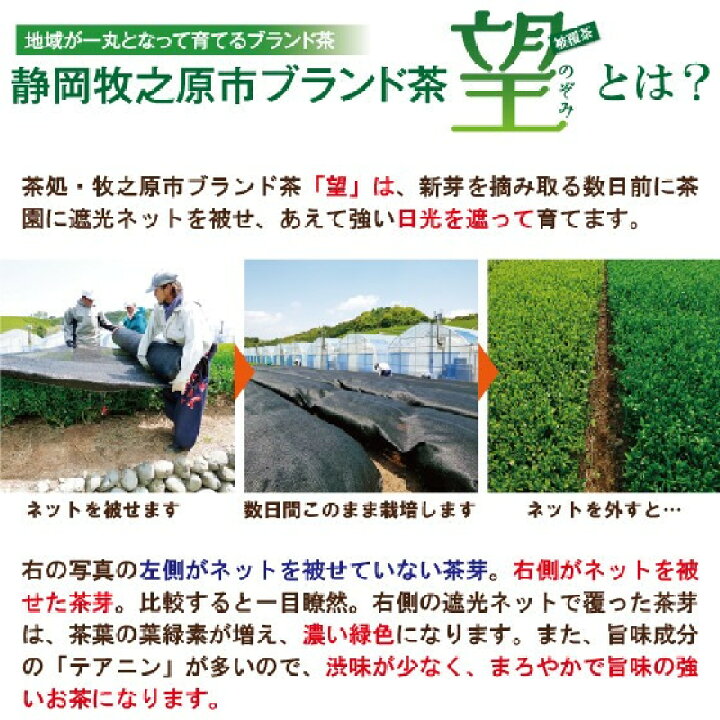 楽天市場】【新茶2022】静岡新茶 望金印 100g 緑茶 お茶 新茶 2022 予約 ギフト 日本茶 静岡茶 国産 牧之原産 プレゼント 茶葉 お茶 日本茶 荒畑園 静岡新茶 静岡 茶 煎茶 深蒸し茶 お茶葉 健康茶 静岡土産 お土産 祖父 祖母 香典返し 法事 : 【 楽天市場】【新茶2022】静岡新茶 望金印 100g 緑茶 お茶 新茶 2022 予約 ギフト 日本茶 静岡茶 国産 牧之原産 プレゼント 茶葉 お茶 日本茶 荒畑園 静岡新茶 静岡 茶 煎茶 深蒸し茶 お茶葉 健康茶 静岡土産 お土産 祖父 祖母 香典返し 法事 : 【